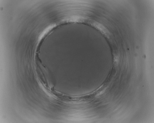 X0000077370678200611171949