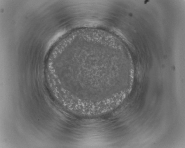 X0000077370679200611171949