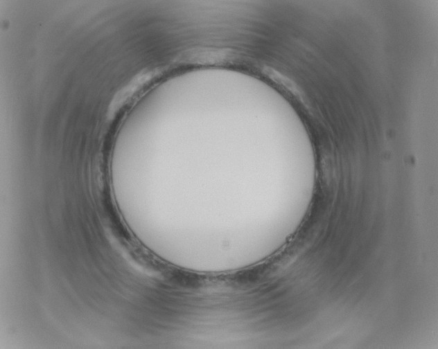 X0000077370682200611171949