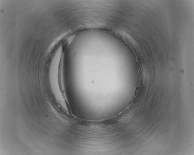 X0000077370684200611171949