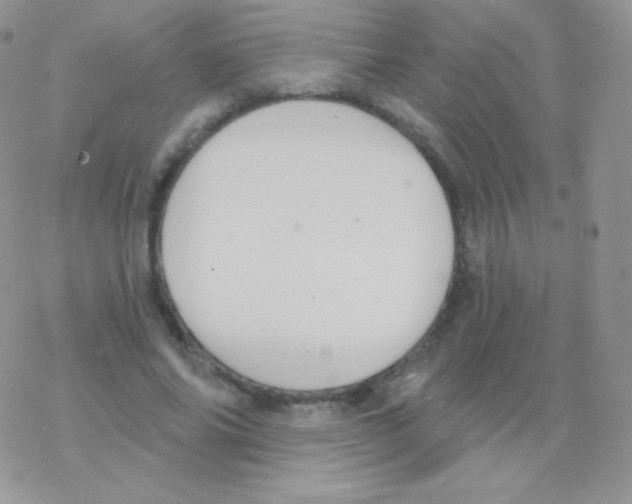 X0000077370686200611171949