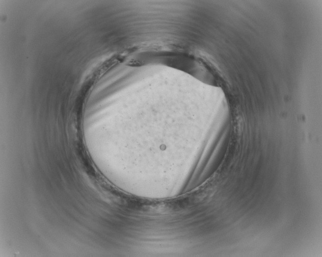 X0000077370688200611171949