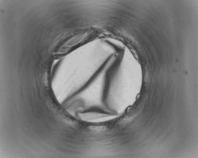 X0000077370689200611171949