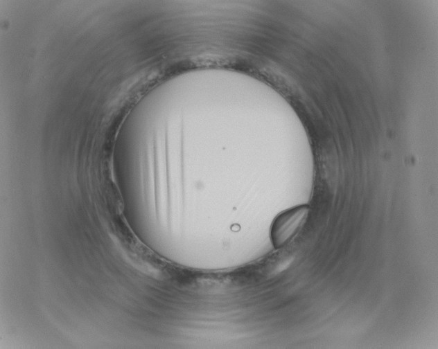 X0000077370690200611171949