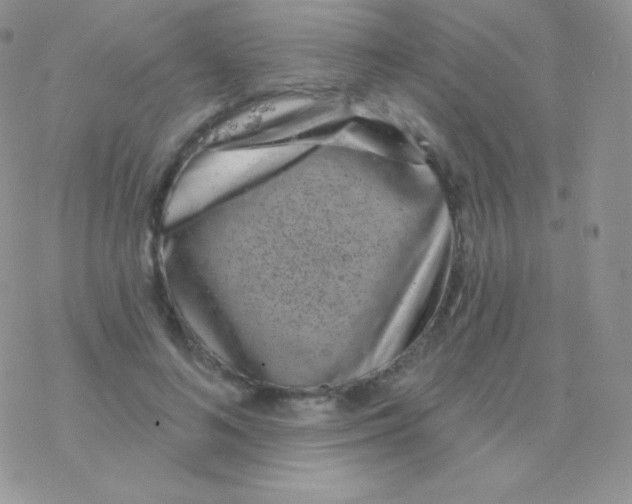 X0000077370692200611171949