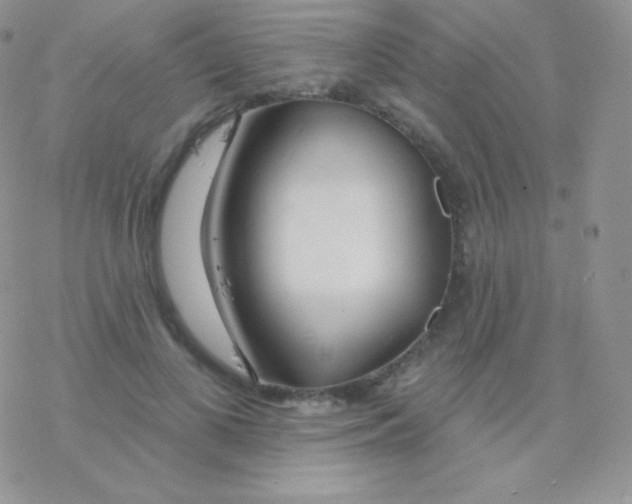 X0000077370693200611171949