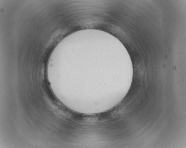 X0000077370694200611171949