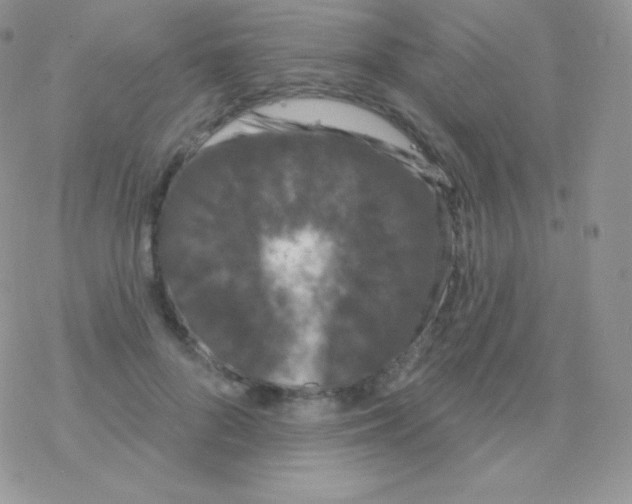 X0000077370696200611171949