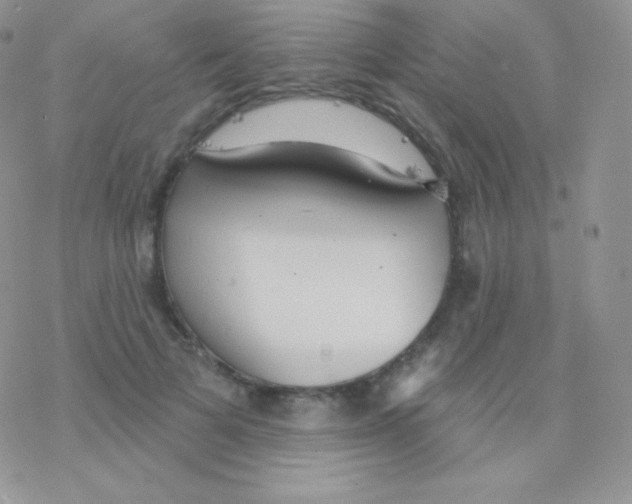 X0000077370697200611171949