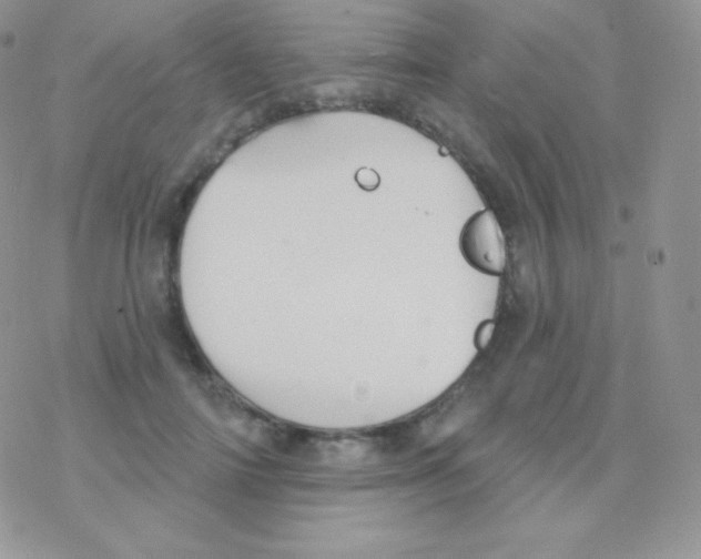 X0000077370698200611171949