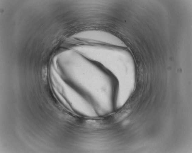 X0000077370699200611171949