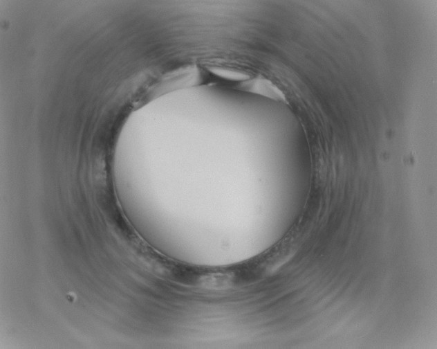 X0000077370700200611171949