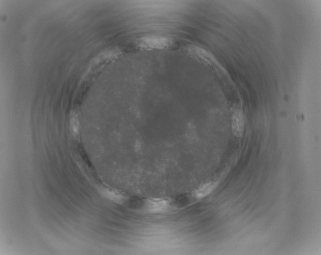 X0000077370701200611171949