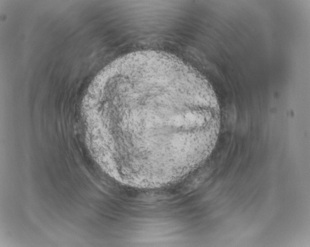 X0000077370703200611171949