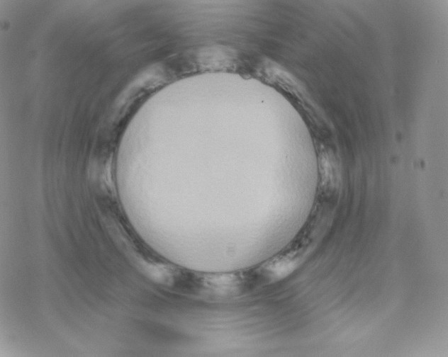 X0000077370705200611171949