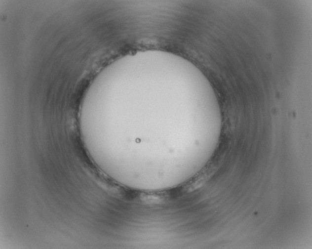 X0000077370706200611171949