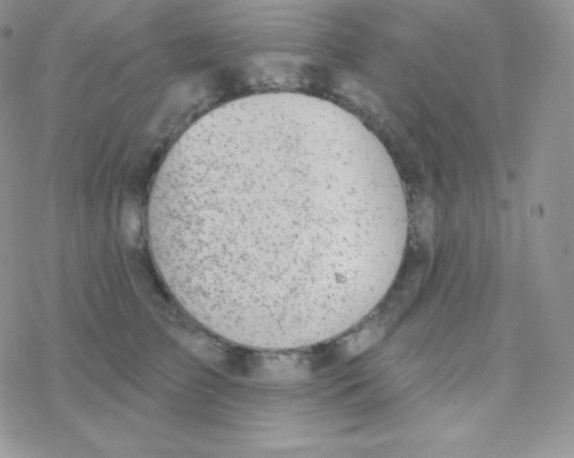 X0000077370709200611171949