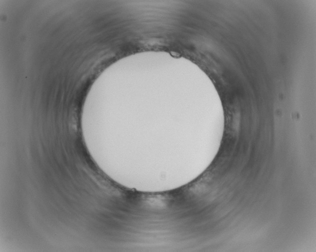 X0000077370710200611171949