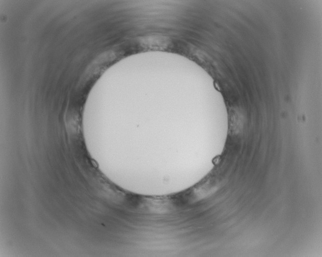 X0000077370713200611171949