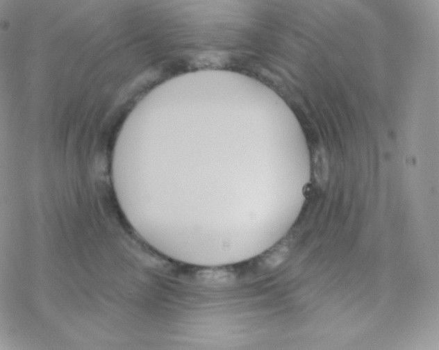 X0000077370714200611171949