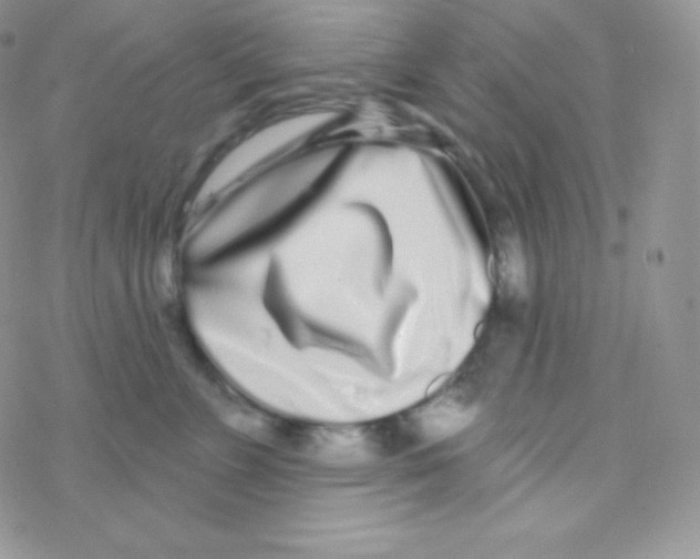 X0000077370715200611171949