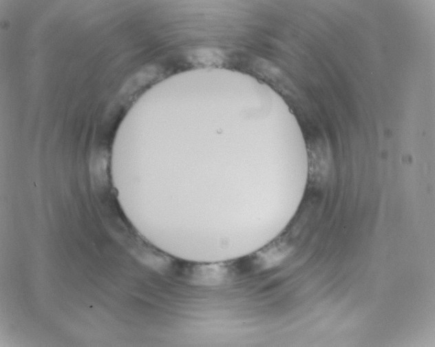 X0000077370717200611171949