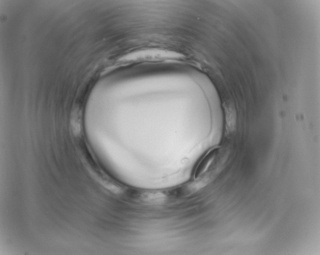 X0000077370719200611171949