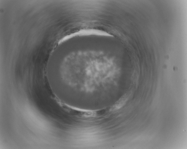 X0000077370720200611171949