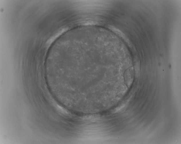 X0000077370721200611171948