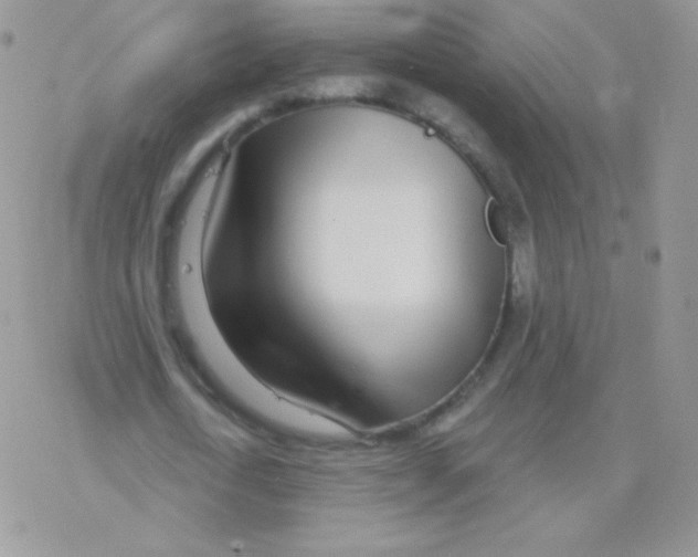 X0000077370722200611171948