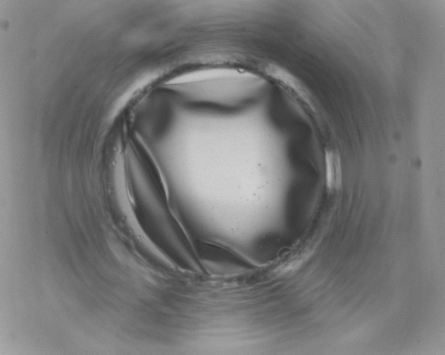 X0000077370723200611171948