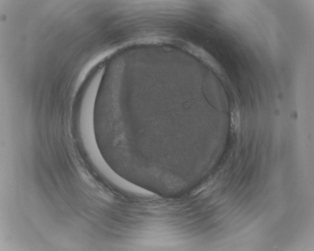 X0000077370724200611171948