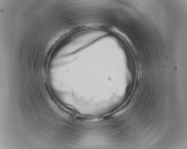 X0000077370725200611171948