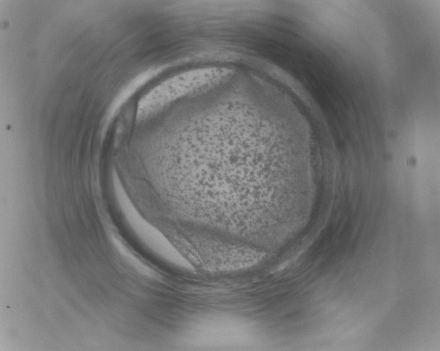 X0000077370726200611171948