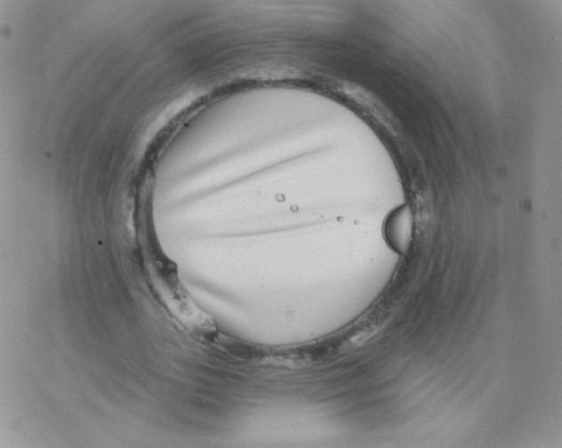 X0000077370727200611171948