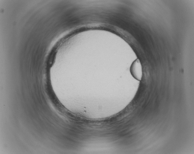 X0000077370728200611171948