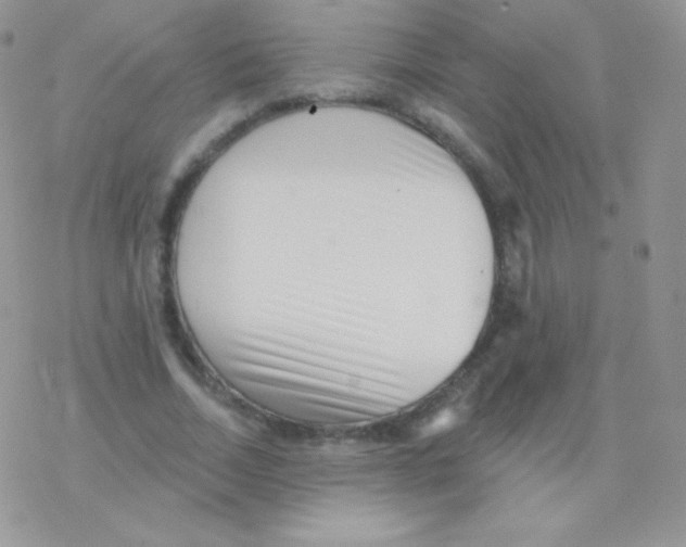 X0000077370730200611171948