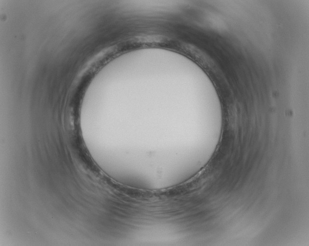 X0000077370731200611171948