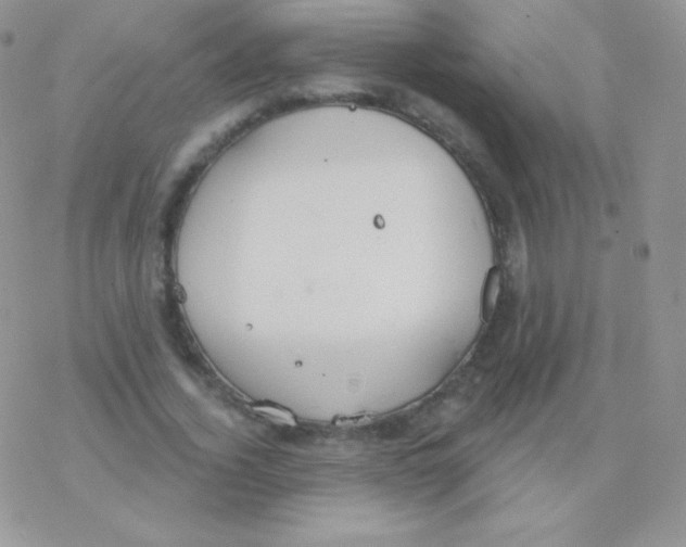 X0000077370732200611171948