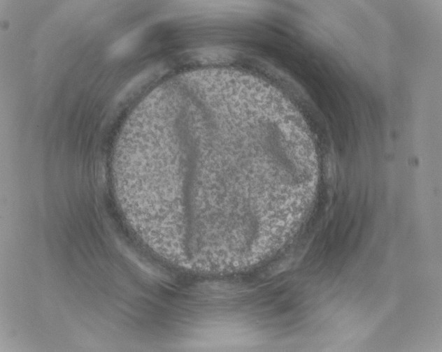 X0000077370733200611171948