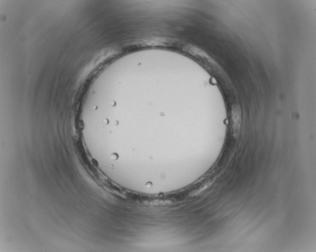 X0000077370734200611171948