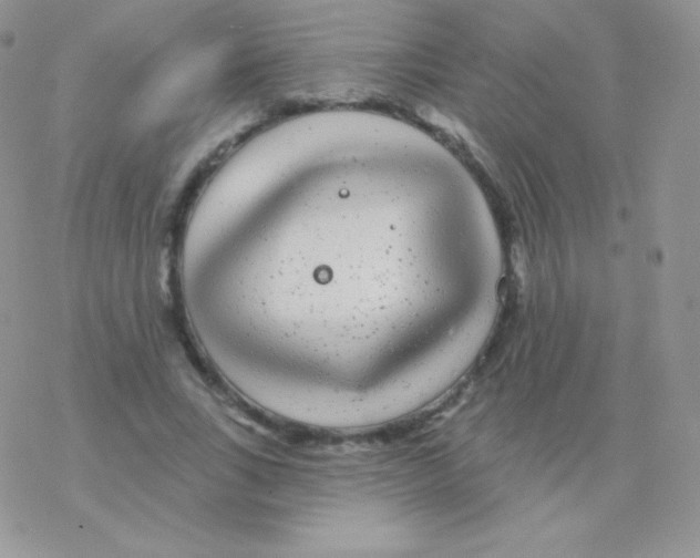 X0000077370735200611171948