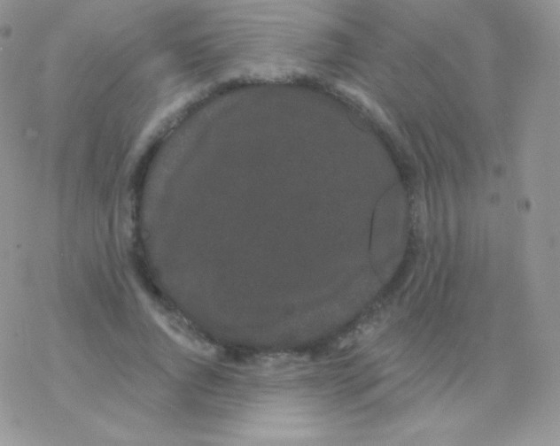 X0000077370736200611171948