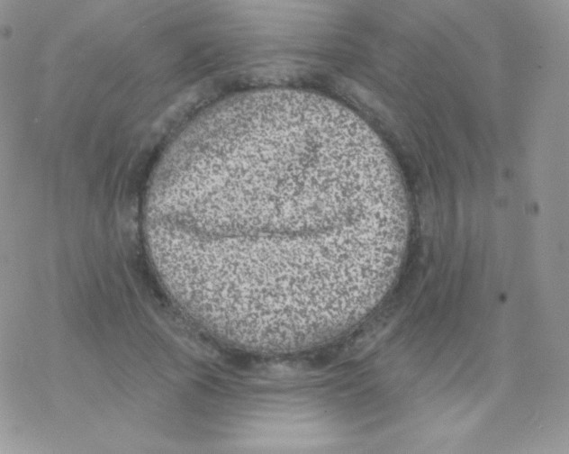 X0000077370737200611171948