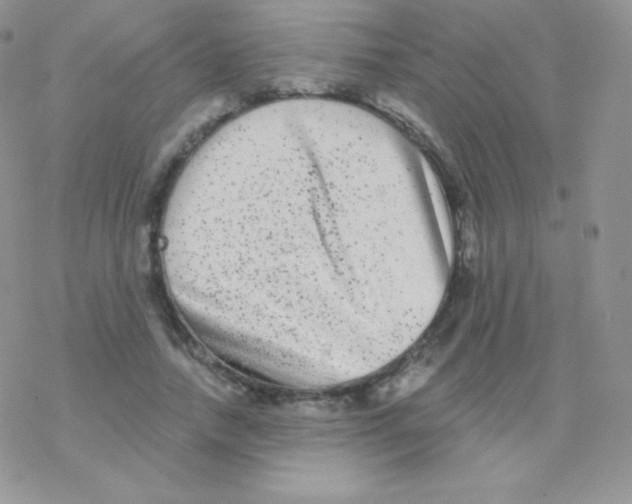 X0000077370738200611171948