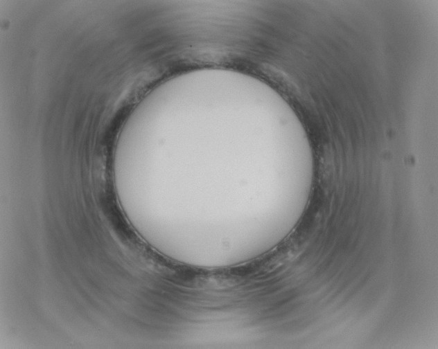 X0000077370739200611171948