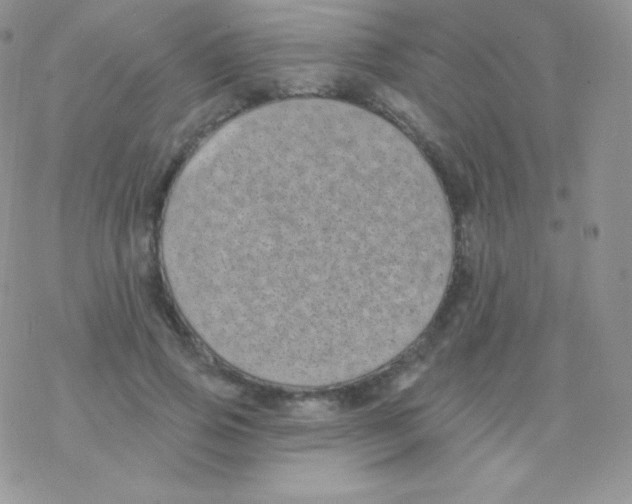 X0000077370741200611171948