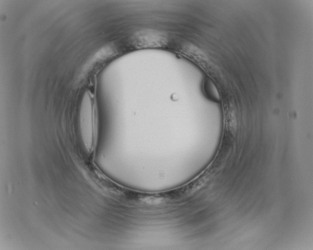 X0000077370742200611171948