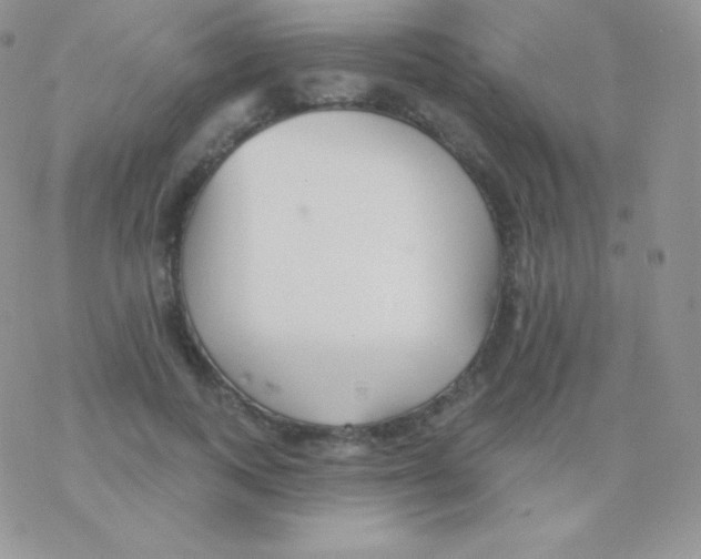 X0000077370743200611171948