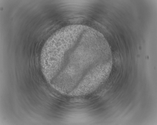 X0000077370745200611171948